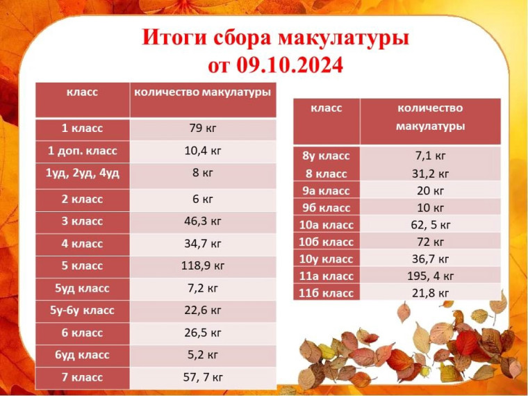 «Сдай макулатуру – спаси дерево!».